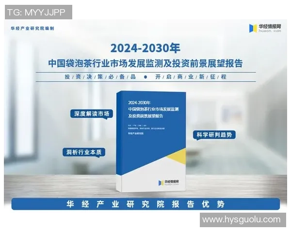 聚焦未来娱乐市场发展战略的产品路线图解析与展望 聚焦未来娱乐市场发展战略的产品路线图解析与展望
