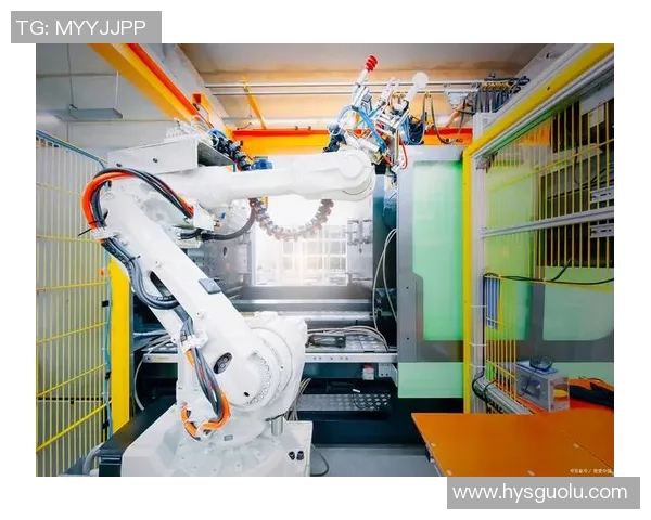 探索沐鸣2零知识证明系统的创新应用与未来发展潜力