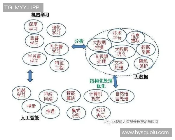 探索红桃国际群体智能算法在大数据分析中的应用与前景分析