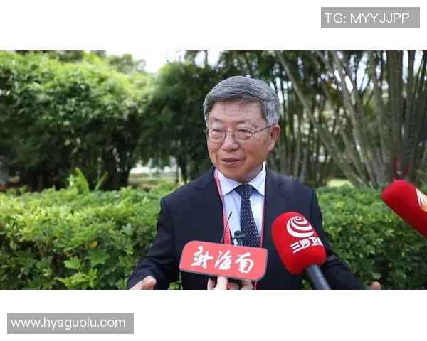 探索沐鸣2零知识证明系统的应用与未来发展潜力分析 探索沐鸣2零知识证明系统的应用与未来发展潜力分析