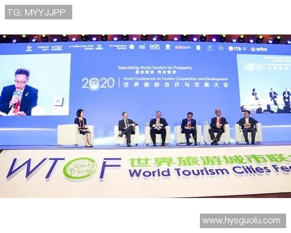 全球协作应对司法差异带来的非法运营商挑战与防范措施探讨